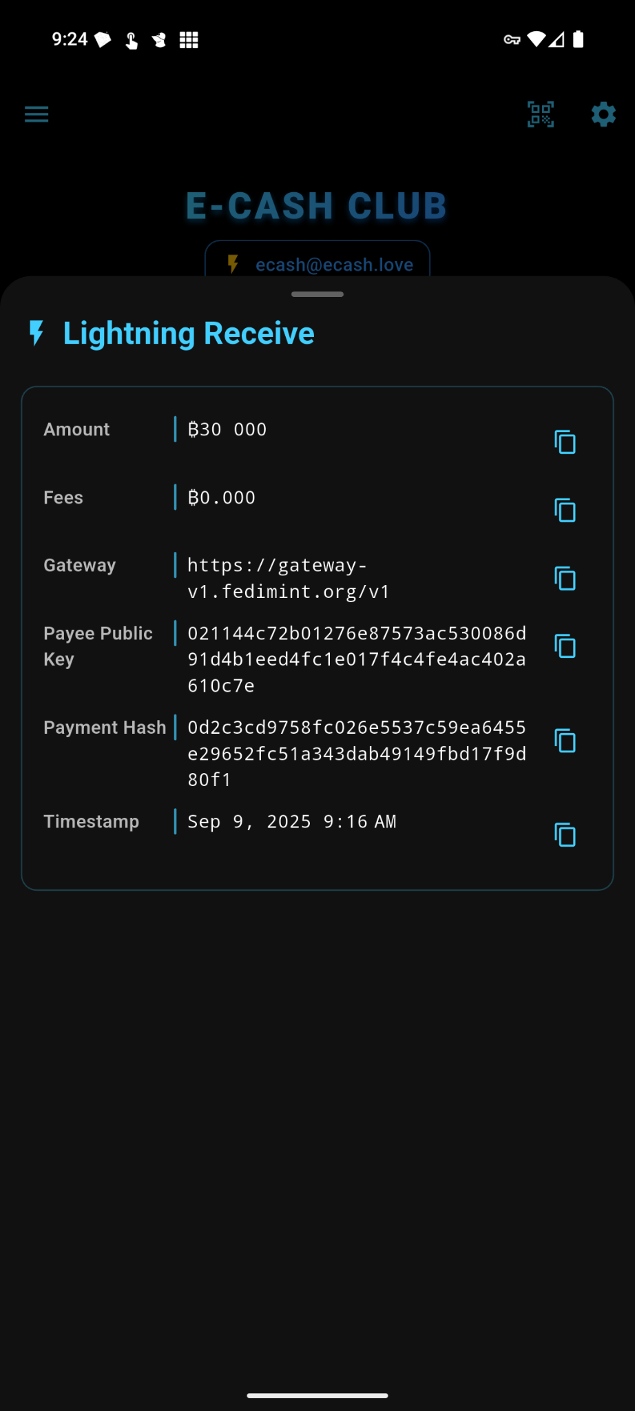 Payments 6