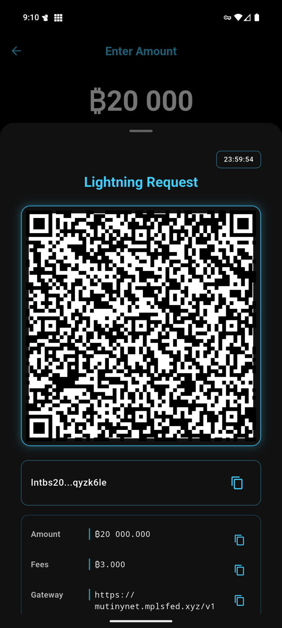 Payments 5