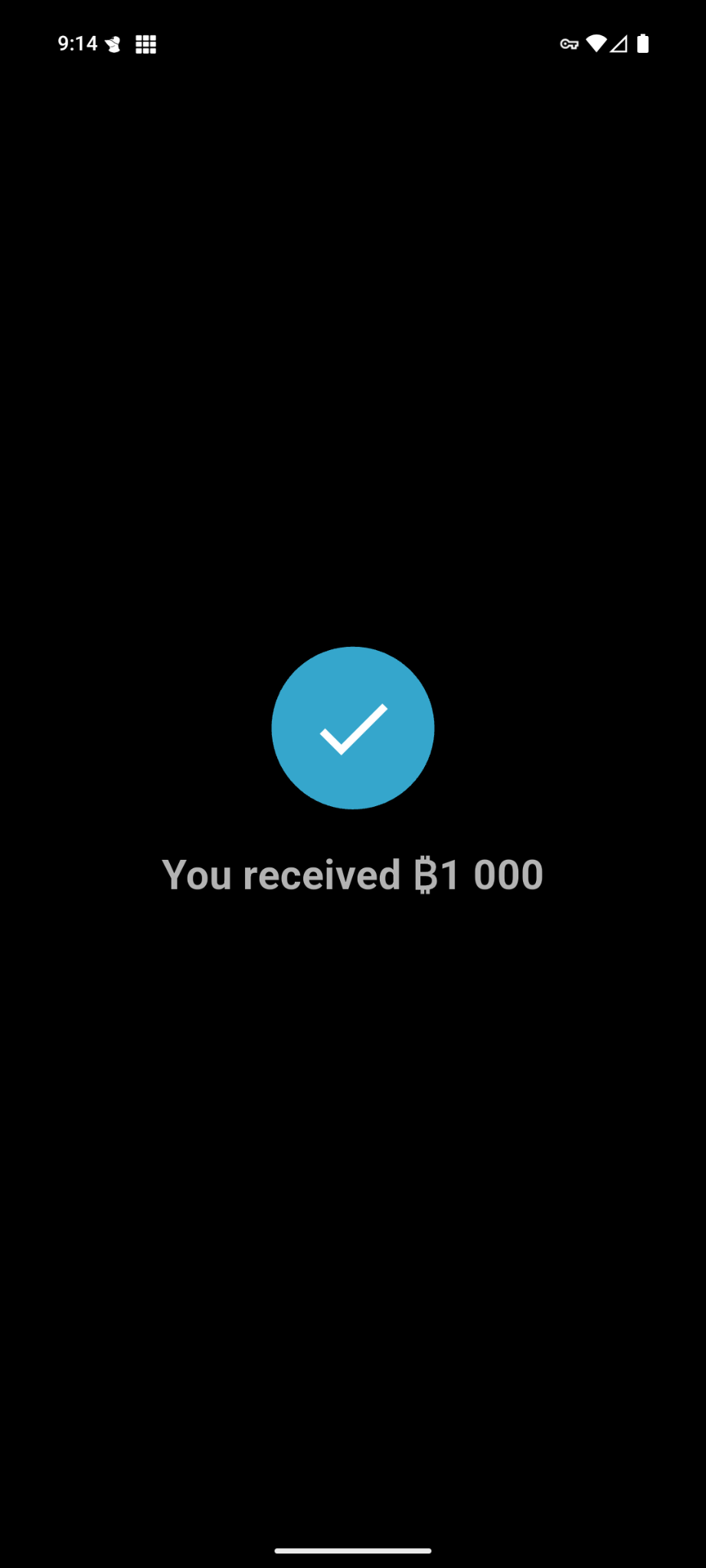 Payments 3